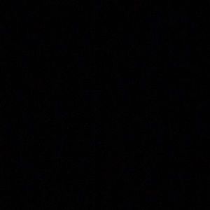 Meet your Posher, Princess